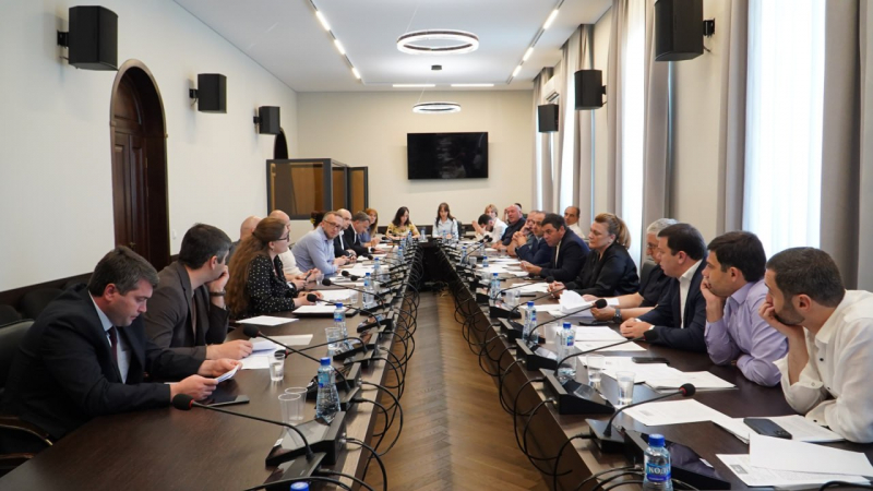 Заседание комитета по государственно-правовой политике Парламента
