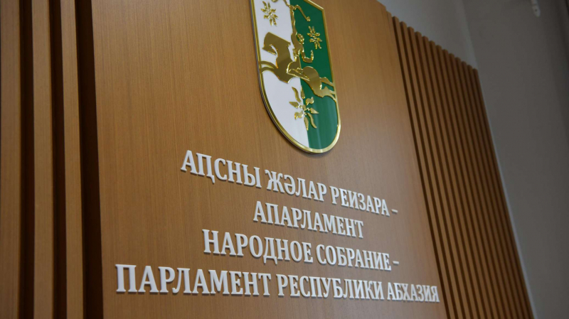 Бадра Гунба отозвал из Парламента свой законопроект